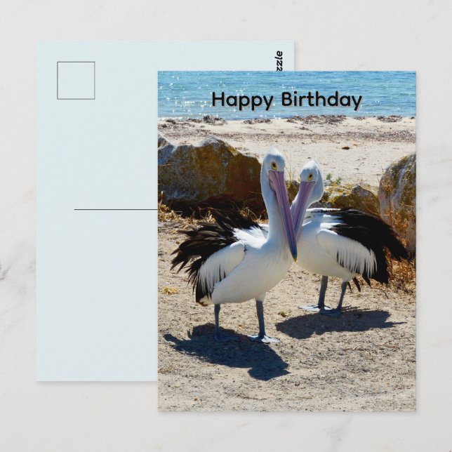 Postale Pélicans Amoureux, Carte D'anniversaire (Devant / Derrière)