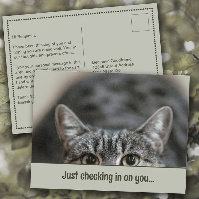 Postale Penser à vous mignon Cat Caption Modèle Carte post (Thinking of You "Just Checking in on You" Cute Cat Personalized Caption Template Postcard)