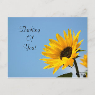 Postale Pensez à votre carte tournesol