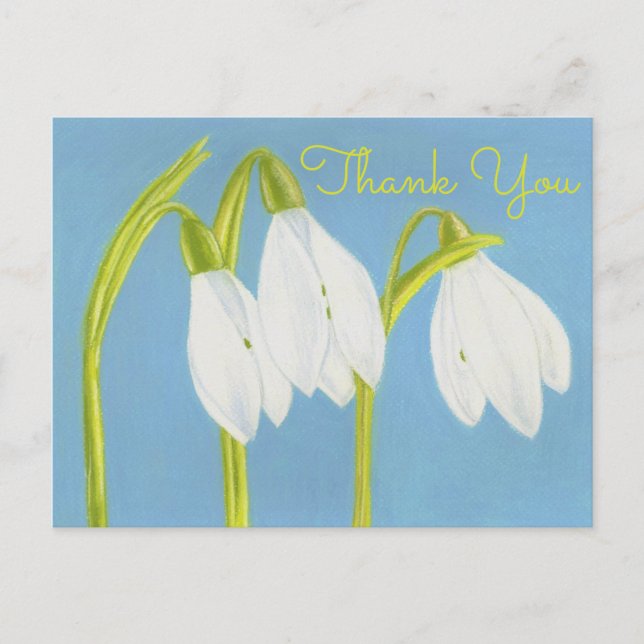 Postale Perce-Neige ~ Carte de Remerciement (Devant)