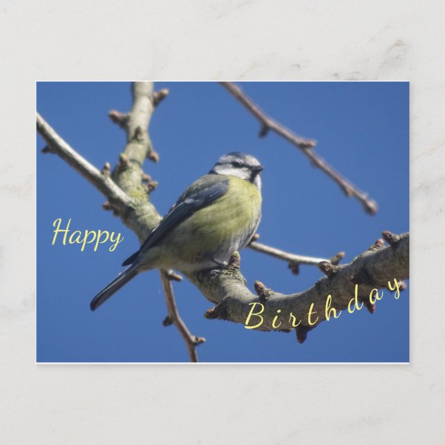 Postale Petit oiseau avec carte d'anniversaire de ciel ble (Devant)
