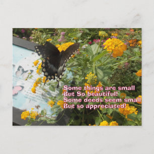 Postale petite mais appréciée carte Papillon