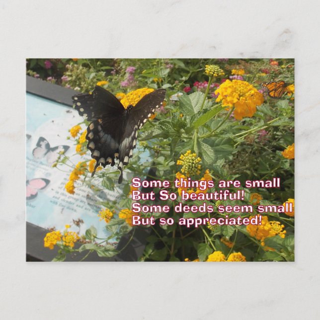 Postale petite mais appréciée carte Papillon (Devant)
