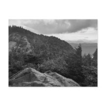 Photographie de paysage forestier sur carte postal