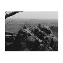 Photographie du paysage forestier sur carte postal