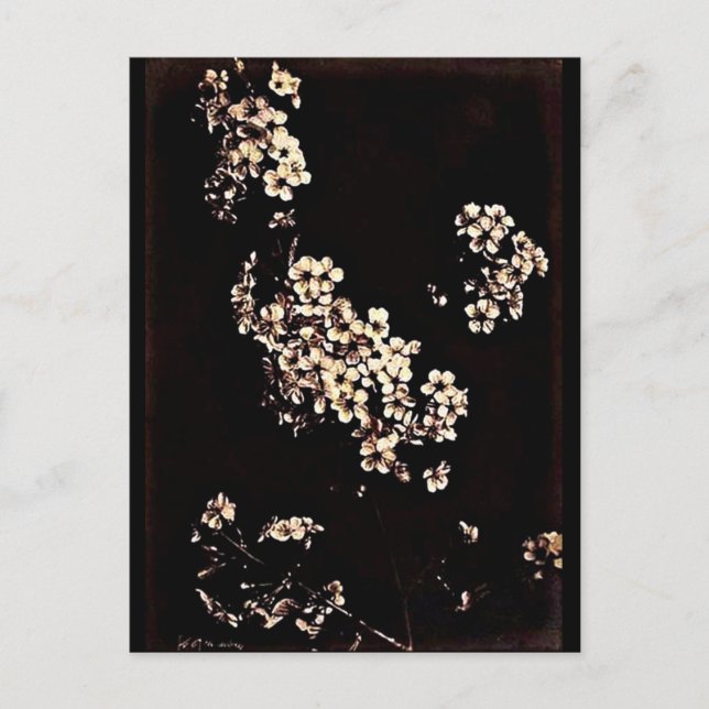 Postale Photographie Vintage carte postale-Charles Aubry 2 (Devant)