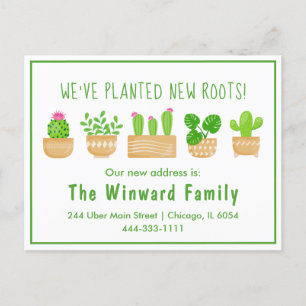 Postale Plantes d'intérieur Cactus Blanc Carte de voeux No