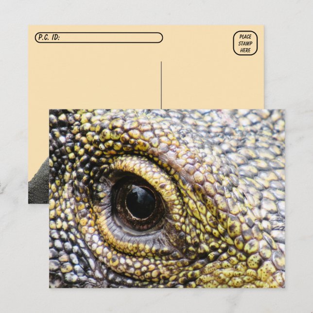 Postale Point de passage - Crocodile Moniteur Lizard Carte (Devant / Derrière)