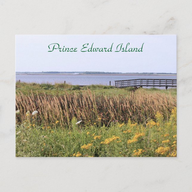 Postale Pont carte postale, fleur sauvage, océan, Prince E (Devant)