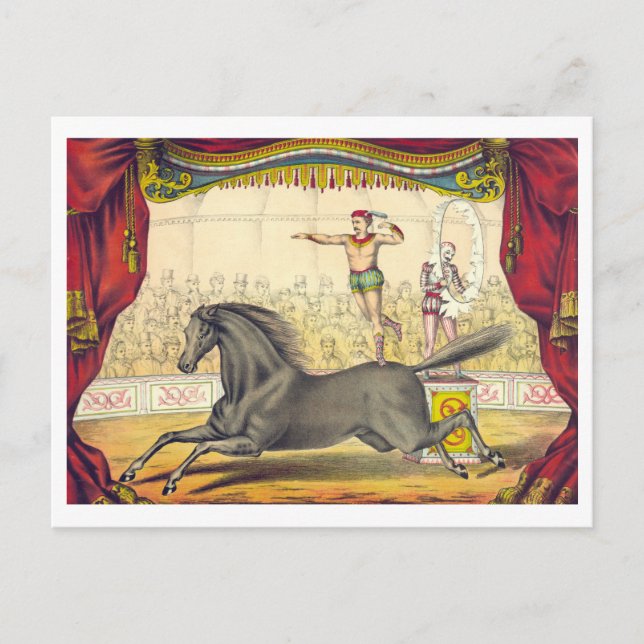 Postale Poster de cirque vintage pour Horse Act Carte post (Devant)