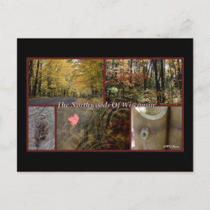 Postale Poster de la nature Northwoods Wisconsin Carte pos