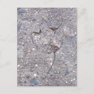 Postale Preuve d'automne - Carte feuille