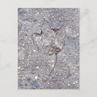 Postale Preuve d'automne - Carte feuille