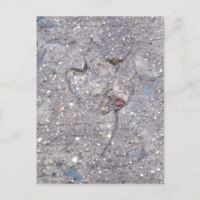 Postale Preuve d'automne - Carte feuille (Devant)