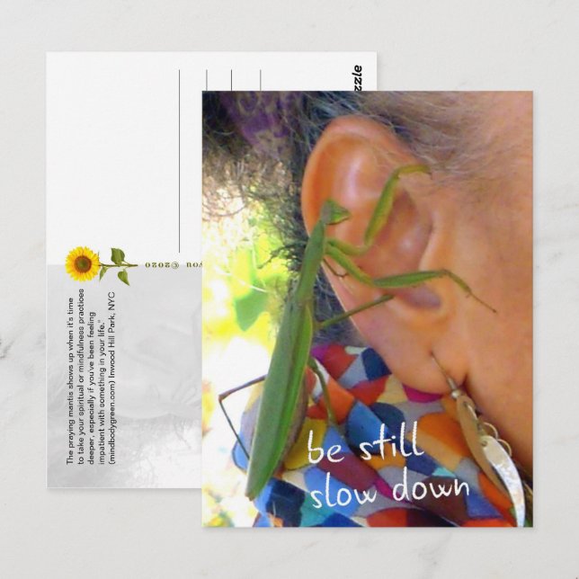 Postale Prier Mantis - être tranquille, ralentir - carte p (Devant / Derrière)