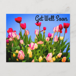 Postale Prompt rétablissement Diverses Tulipes #3 Carte po