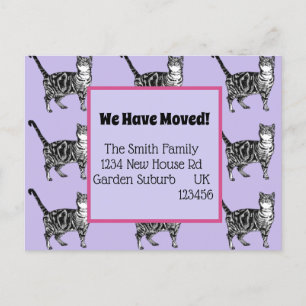 Postale Purple Cat Nouvelle Adresse Carte Postale, Nous Dé