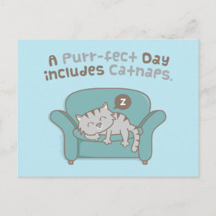 Postale Purrfect Day avec Catnaps Cat Pun Humour Carte pos