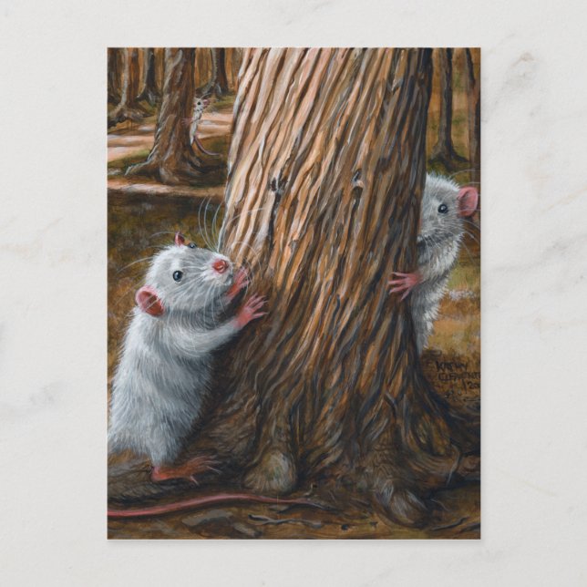 Postale Rats par vieux arbre cache et chercher carte posta (Devant)