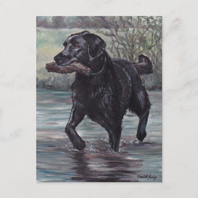 Postale Récupérer Black Labrador Retriever Dog Art carte p (Devant)
