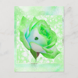 Postale Rose irlandais et anniversaire ! Carte