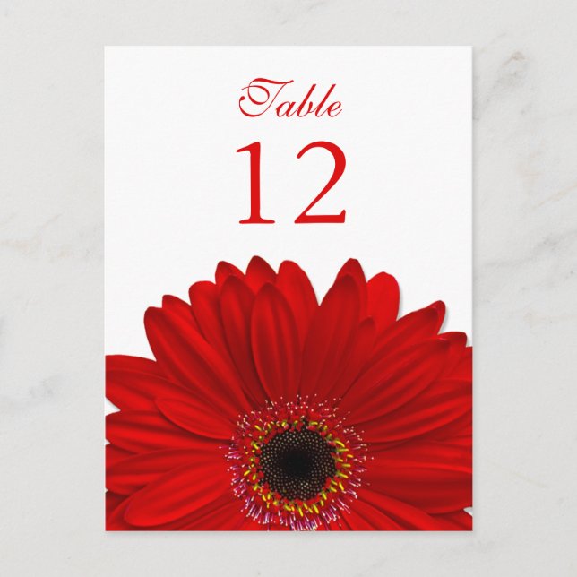 Postale Rouge Gerbera Daisy Tableau Numéro Carte Plat (Devant)