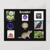Sagittarius Décembre Mois de naissance CARTE POSTA