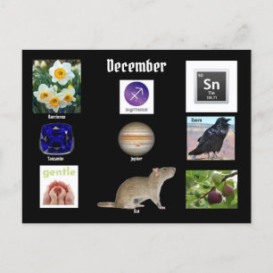 Postale Sagittarius Décembre Mois de naissance CARTE POSTA
