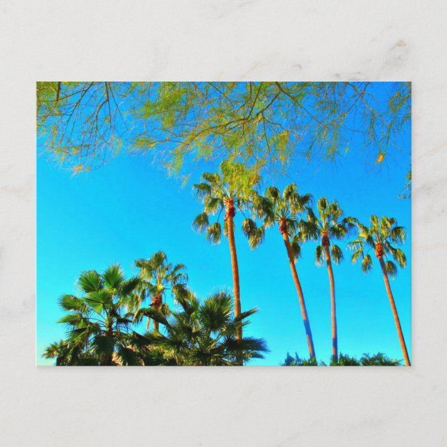 Postale Salutations d'Arizona ! Carte postale. (Devant)