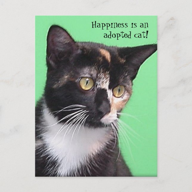 Postale Sara - Le bonheur est un chat adopté ! Carte posta (Devant)