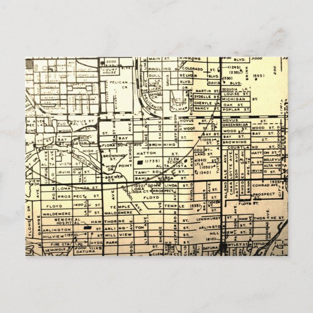 Postale Sarasota, FL Carte Vintage (Devant)