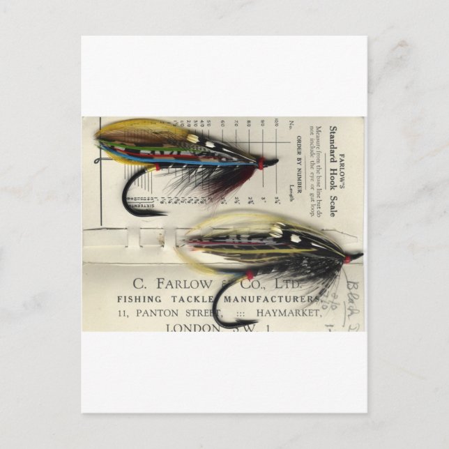 Postale Saumon classique Voler sur carte (Devant)