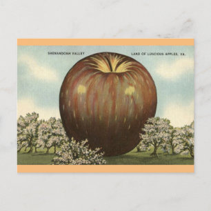 Postale Shenandoah Valley, Virginia Giant Apple Carte post