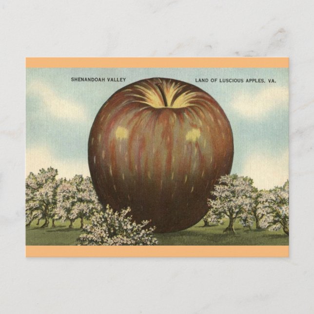 Postale Shenandoah Valley, Virginia Giant Apple Carte post (Devant)