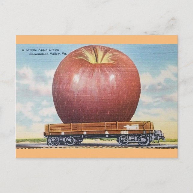 Postale Shenandoah Valley, Virginia Giant Apple Carte post (Devant)