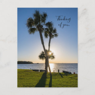 Postale Silhouette Ciseau Palm Tree Penser Votre Carte Pos