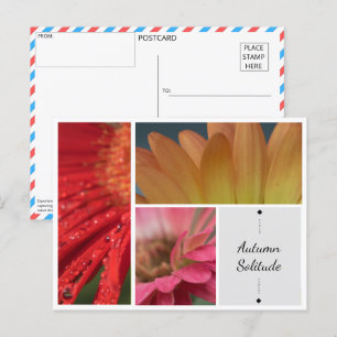 Postale Solitude d'automne - Droplets d'eau florale Carte