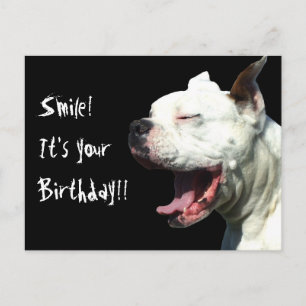 Postale Souriez c'est votre anniversaire White Boxer carte