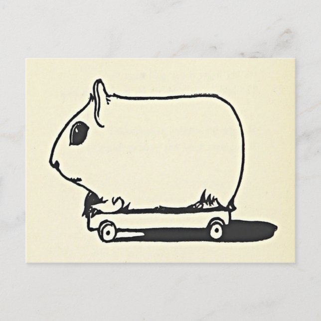 Postale Souris sur un skateboard Fun Salutations Carte Ann (Devant)