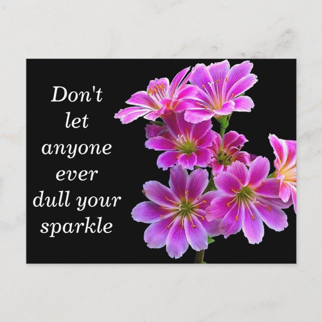 Postale "Sparkle" - Carte Art Photoshop (Devant)