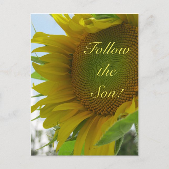Postale Suivez le Fils ! Message chrétien sur une carte po (Devant)