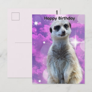 Postale Suricate avec éclat, Carte d'anniversaire