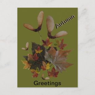 Postale Sycamore Maple Feuilles Collage AUTUMN Carte posta