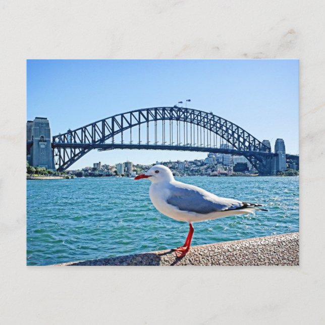 Postale Sydney Harbour Bridge - Sydney, Australie Carte po (Devant)