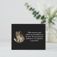 Texte de nom de photo de chat Carte de sympathie d