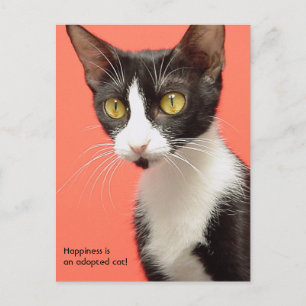 Postale Topenga - Le bonheur est un chat adopté ! Carte po