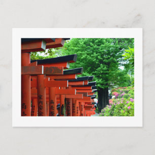 Postale Torii Gates, Nezu Shrine : Tokyo, Japon Carte post