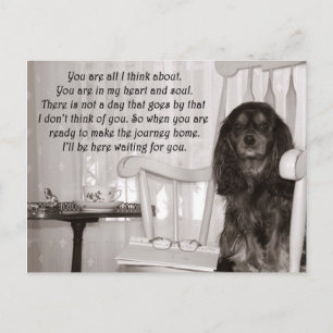 Postale Tu me manques : une carte de Cavalier King Charles