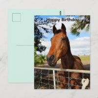 Tulip le cheval bai brun, Carte d'anniversaire