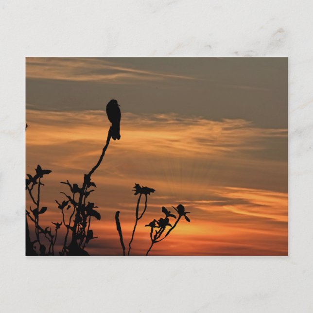 Postale un oiseau dans l'arbre au coucher du soleil carte  (Devant)